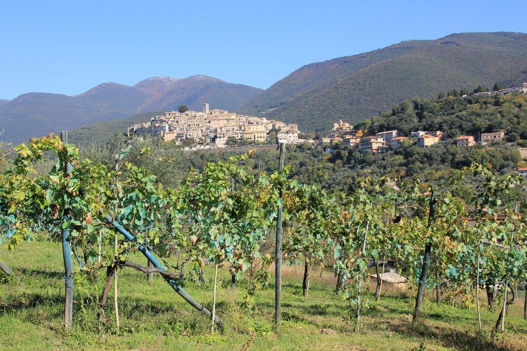B&B Colle Perrini Country House Casperia Екстер'єр фото